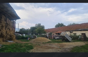 Închiriez vând imobil cu destinația producție sau fermă - imagine 4