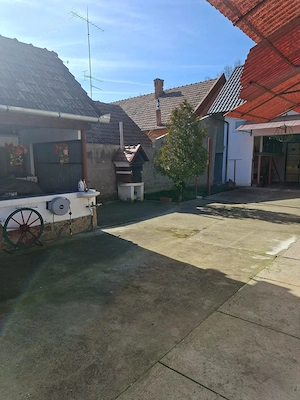 Casă de vânzare în Saravale, județul Timiș   teren 1700 mp - imagine 5