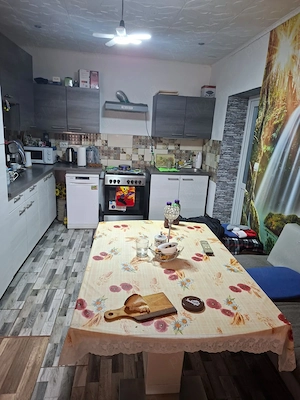 Casă de vânzare în Saravale, județul Timiș   teren 1700 mp - imagine 9