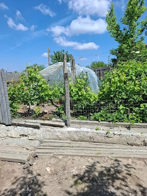 Casă de vânzare în Dunăreni, com. Aliman   Gospodărie completă, mobilată și utilată. - imagine 2