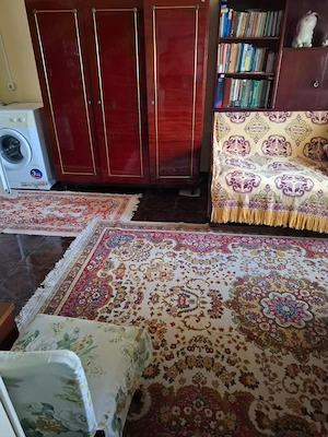 Casă de vânzare în Dunăreni, com. Aliman   Gospodărie completă, mobilată și utilată. - imagine 6