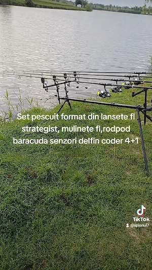 Lansete Fl strategist  - imagine 2