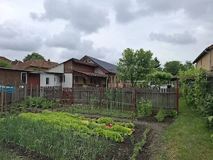 Vand teren si casa cu gradina si livadă  in Mosnita Veche - imagine 2