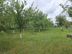 Vand teren si casa cu gradina si livadă  in Mosnita Veche - imagine 4