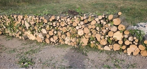 lemne de foc