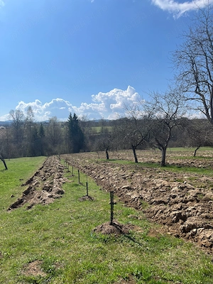 Vând casă și terenul aferent de 2 hectare intravilan - imagine 2