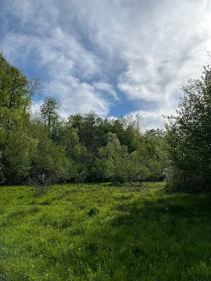 Vând casă și terenul aferent de 2 hectare intravilan - imagine 8