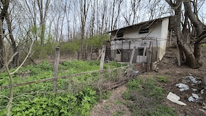 Proprietar, vând casă si vatra de stupina in Șendrești, com. Motoșeni, jud. Bacău. - imagine 4
