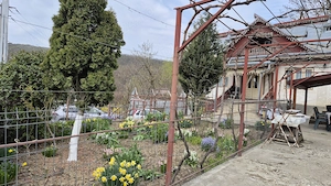 Proprietar, vând casă si vatra de stupina in Șendrești, com. Motoșeni, jud. Bacău.