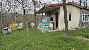 Proprietar, vând casă si vatra de stupina in Șendrești, com. Motoșeni, jud. Bacău. - imagine 9