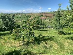 Teren intravilan + fundatie casa, livada, view superb, aproape de Craiova