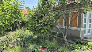 Casă şi teren 1005 mp de vânzare în Platoneşti   stradă principală - imagine 2