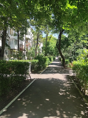 Proprietar, inchiriez apartament 3 camere, Torontalului - imagine 8