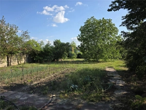 Casa solida plus gradina matura intr-o zona  linistita in centrul  Varias - imagine 9
