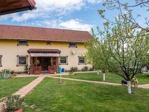 De vânzare: Casă împreună cu Curte și Grădină, Garaj și Parcare | Orăștie - imagine 4