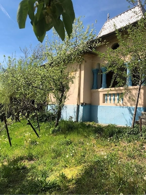 Vând casa in satul Olteanca, comuna Ladesti - imagine 6