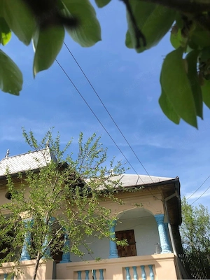 Vând casa in satul Olteanca, comuna Ladesti - imagine 2