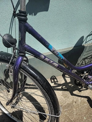 bicicleta normala 