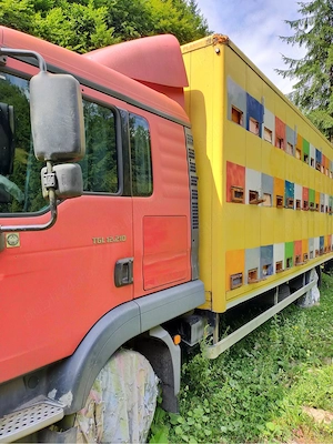 Camion Apicol Man TGL omologat - imagine 5