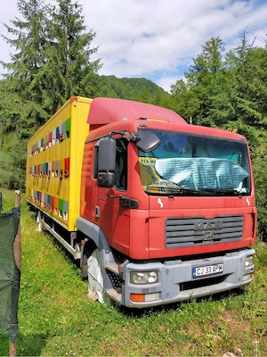 Camion Apicol Man TGL omologat