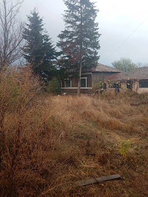 Vând teren Radovanu Călărași  - imagine 4