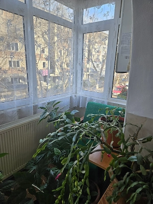 Închiriez apartament cu 3 camere, lângă Parcul Florilor  - imagine 3