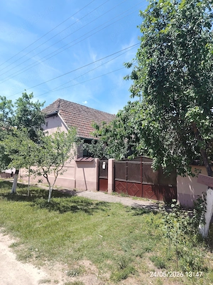 Casa de vânzare :Sat Satu Mare, comuna Secusigiu  jud Arad  - imagine 2