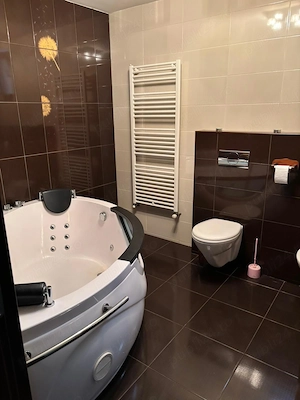 VILA  Trivale d+p+1+M 90mp nivel curte 680mp cartier Faget 315000euro - imagine 4