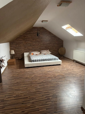 VILA  Trivale d+p+1+M 90mp nivel curte 680mp cartier Faget 315000euro - imagine 10