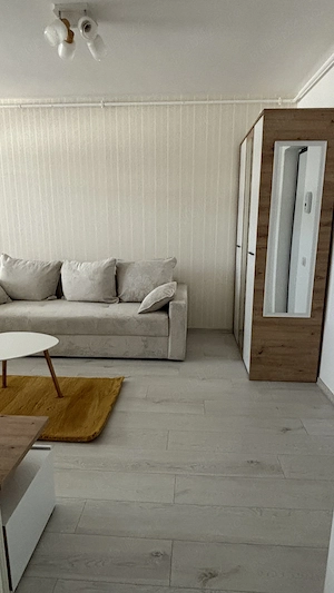 Apartament 2 camere Studio Drumul Jilavei 91e - Direct proprietar, fara agentii - imagine 8
