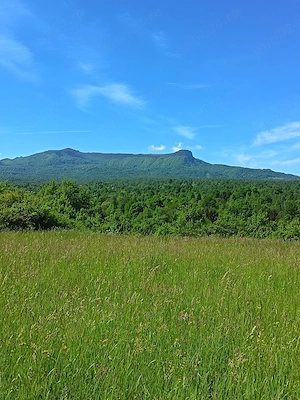 teren de vânzare 
