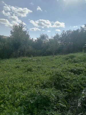 Vând teren intravilan aproape de Cluj