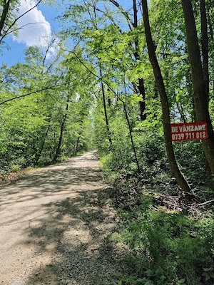 Teren 12.000mp Baneasa - Aleea Teisani