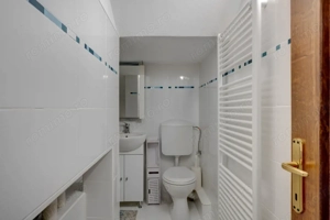 ADUNATII-COPACENI - APARTAMENT 135 MP, LOT 787 MP! - imagine 7