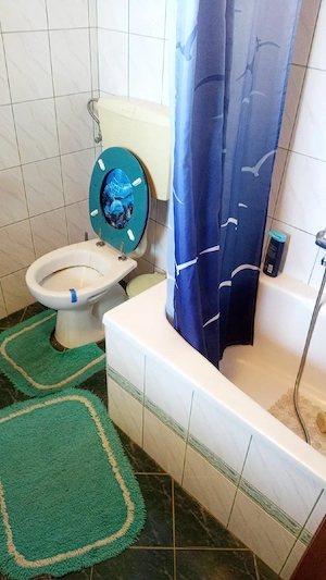 Vând apartament cu 2 camere  in Nojorid - imagine 2