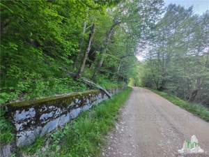 Teren Intravilan 12000 mp, Cascada Urlatoarea, proiect aprobat pentru Resort, langa bazin Piscicol. - imagine 3
