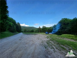 Teren Intravilan 12000 mp, Cascada Urlatoarea, proiect aprobat pentru Resort, langa bazin Piscicol. - imagine 4