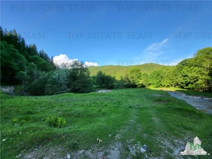 Teren Intravilan 12000 mp, Cascada Urlatoarea, proiect aprobat pentru Resort, langa bazin Piscicol. - imagine 6