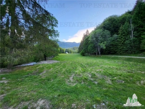 Teren Intravilan 12000 mp, Cascada Urlatoarea, proiect aprobat pentru Resort, langa bazin Piscicol. - imagine 9
