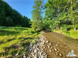 Teren Intravilan 12000 mp, Cascada Urlatoarea, proiect aprobat pentru Resort, langa bazin Piscicol. - imagine 17