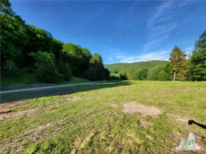 Teren Intravilan 12000 mp, Cascada Urlatoarea, proiect aprobat pentru Resort, langa bazin Piscicol. - imagine 12