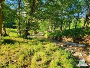 Teren Intravilan 12000 mp, Cascada Urlatoarea, proiect aprobat pentru Resort, langa bazin Piscicol. - imagine 15