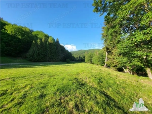 Teren Intravilan 12000 mp, Cascada Urlatoarea, proiect aprobat pentru Resort, langa bazin Piscicol. - imagine 14
