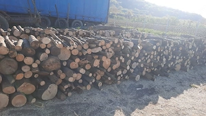Vand lemne de foc 