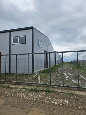 Hale noi 2026 AFUMATI ( Moara Domneasca ) 2300 Euro - imagine 11