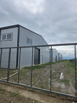 Hale noi 2026 AFUMATI ( Moara Domneasca ) 2300 Euro - imagine 12