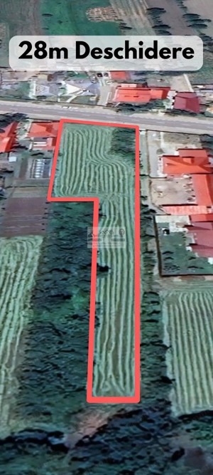 Teren intravilan 3129 mp | Deschidere 28 ml / Lespezi – Homocea - imagine 2