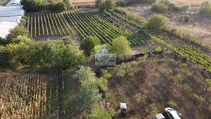 Teren intravilan Tecuci/Podgorie si Pomi Fructiferi/5000 mp