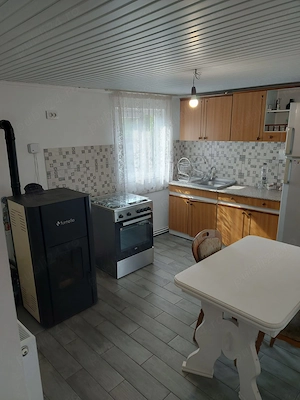 Casă la țară în Stejaru, Teleorman   teren 1000 mp, utilități complete, locuibilă - imagine 2