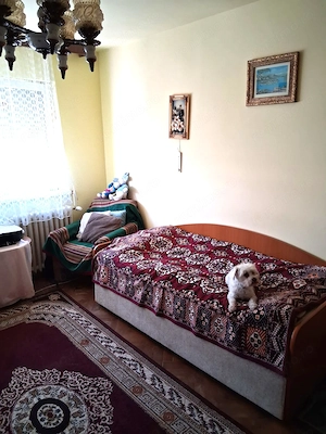 4 camere etaj intermediar centrala proprie zona Dacia - imagine 11